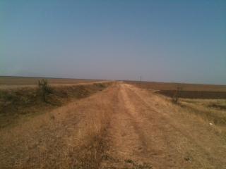   Romania -arable land for sale.  Ref R01